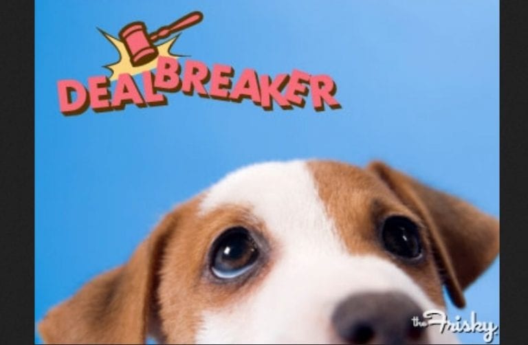 dealbreaker-he-brought-a-dog-on-our-date-the-frisky