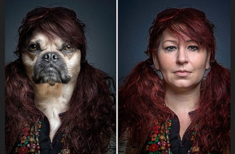 Pets Dressed As People Who Look Like Their Pets
