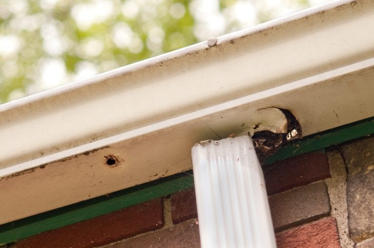 What To Do When Your Gutter Is Damaged The Frisky