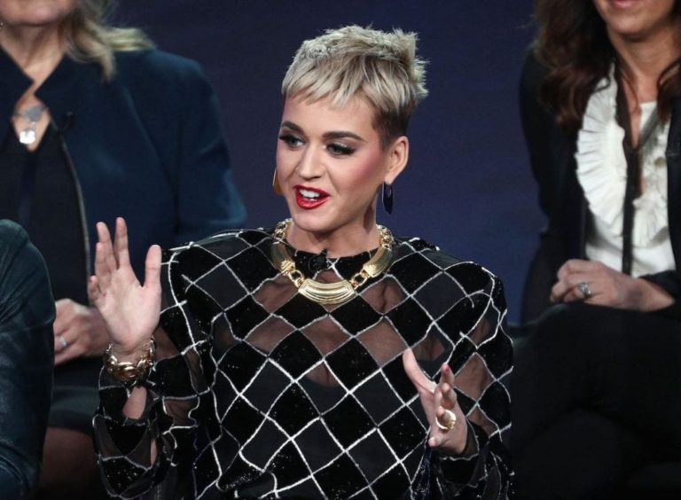 Katy Perry Net Worth 2021, Personal Life, Career - The Frisky