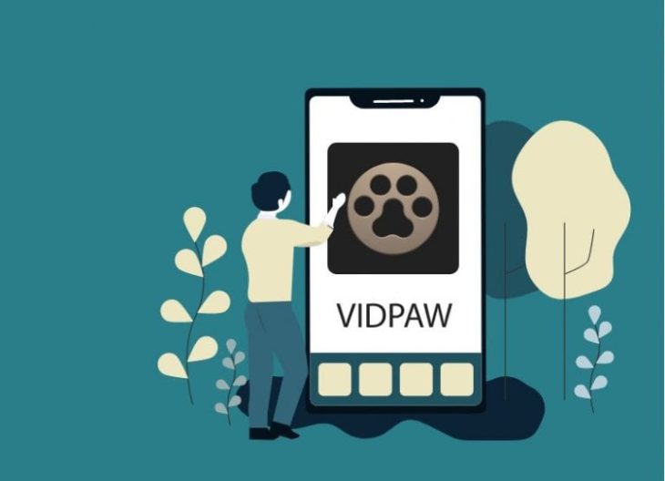 vidpaw youtube