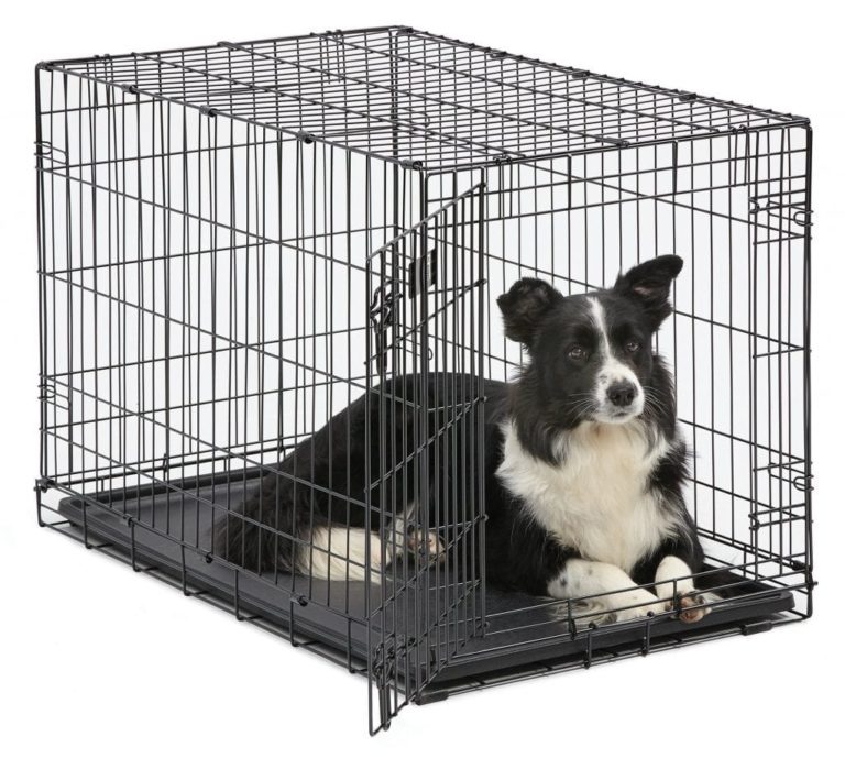 dog time out crate