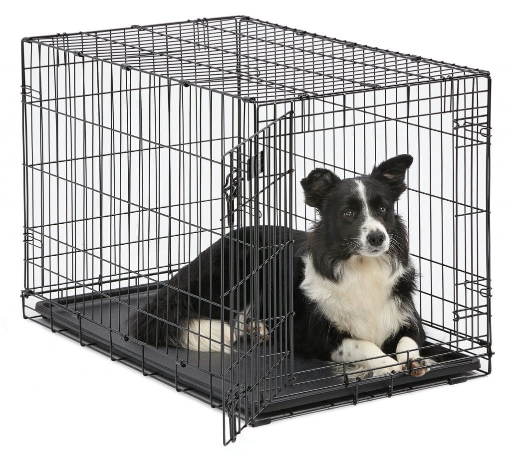 Why You Should Buy a Dog Crate For Your Dog The Frisky