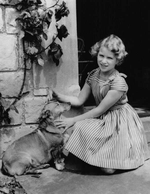 Royal family members with dogs - The Frisky