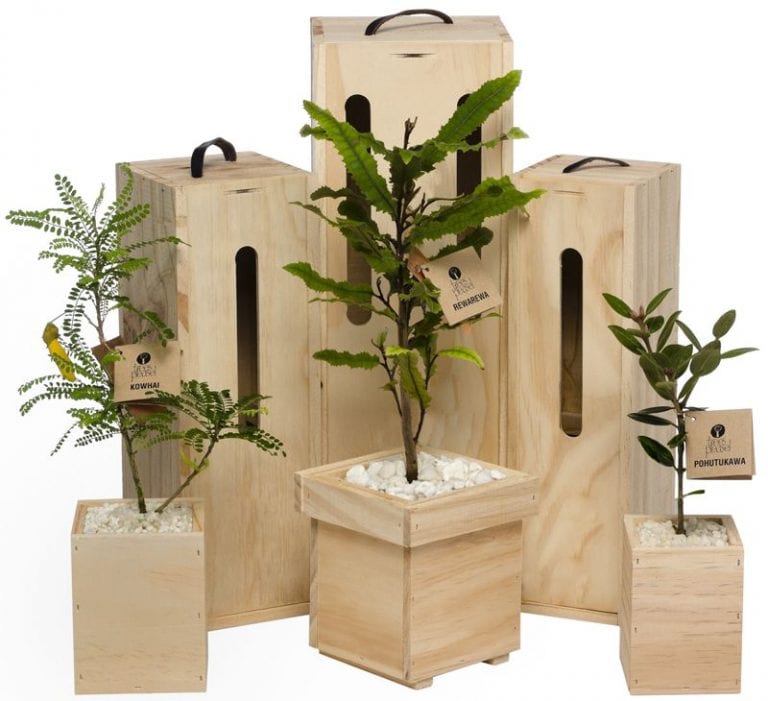 5 Best Plants as Corporate Gifts The Frisky