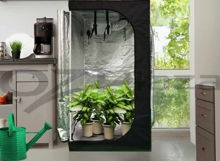 Plant grow tent Idea