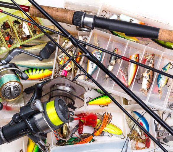 Top 7 Fly Fishing Shops to Visit The Frisky