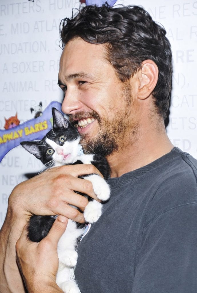 11 Awesome Celebrity Cat Guys The Frisky