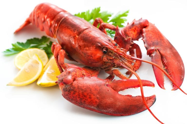 The History of Lobster in America How Lobster Got Fancy The Frisky