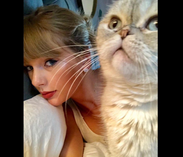 The Cutest Celebrity Cat Photos The Frisky(00)