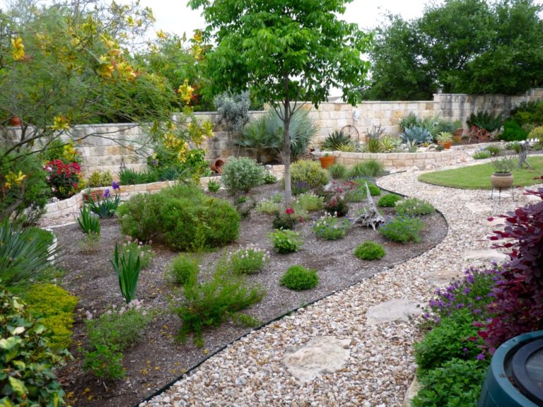 what-is-the-xeriscaping-trend-and-how-can-it-help-your-garden-in-a-drought