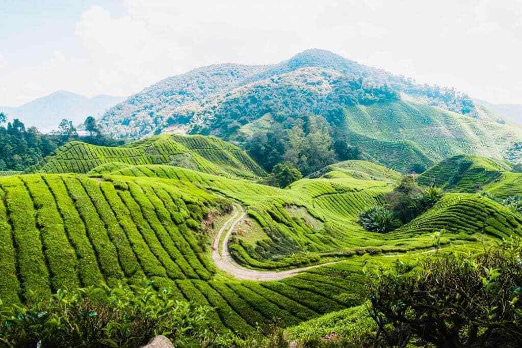 Top Highland Destinations in South Asia - The Frisky