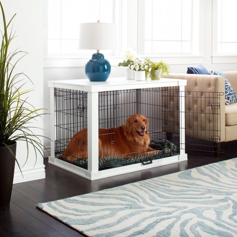 How to Choose the Right Size Crate For Your Dog - The Frisky