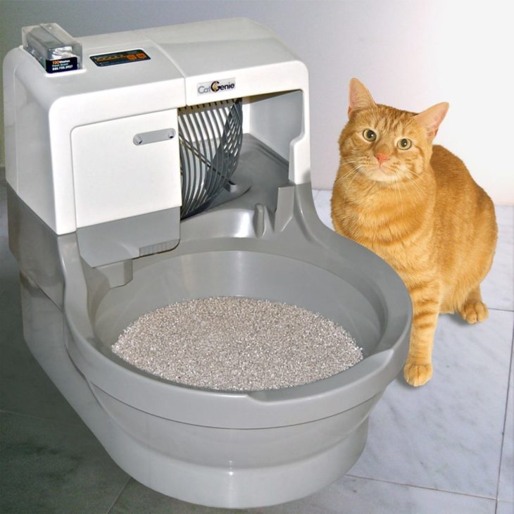 The Benefits Of The Best Self Cleaning Litter Box When Owning A Cat