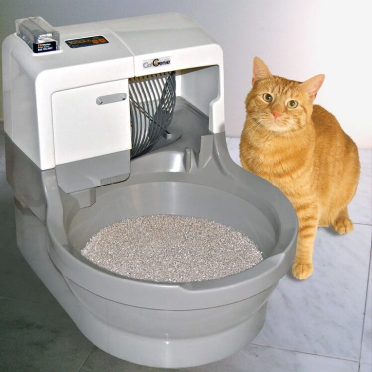 The Benefits Of The Best Self Cleaning Litter Box When Owning A Cat ...