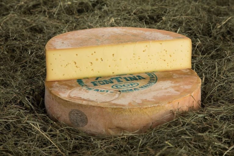 What Is The Best Fontina Cheese Substitute? - The Frisky