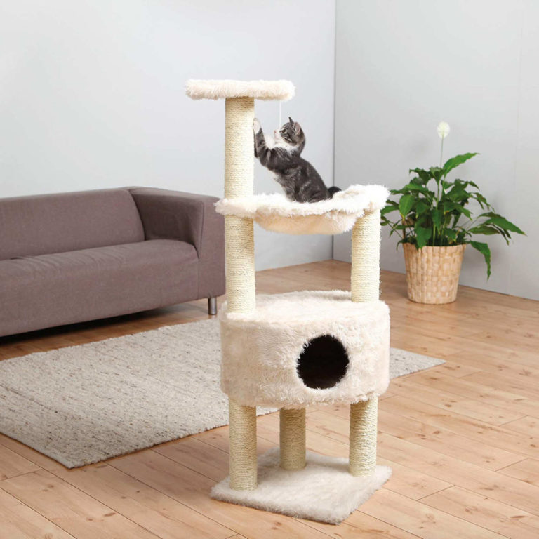 Choosing Cat Furniture Your Kitty Approves with a Smile The Frisky