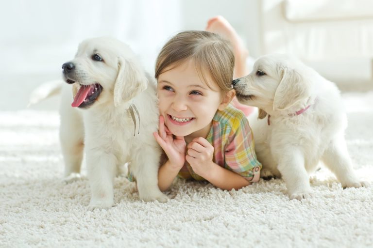 Choosing the right puppy for you - The Frisky