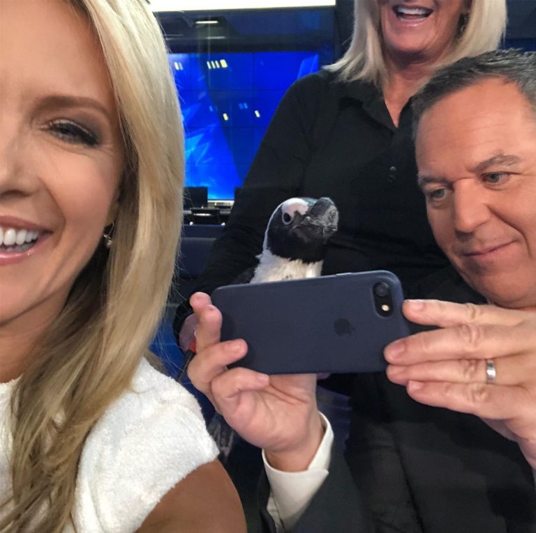 Dana Perino Husband Net Worth 2024 Career The Frisky 