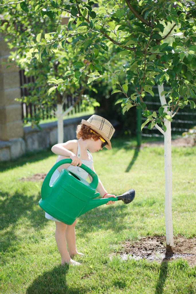 Handle with Care: Top Tips for Maintaining and Watering New Trees - The ...