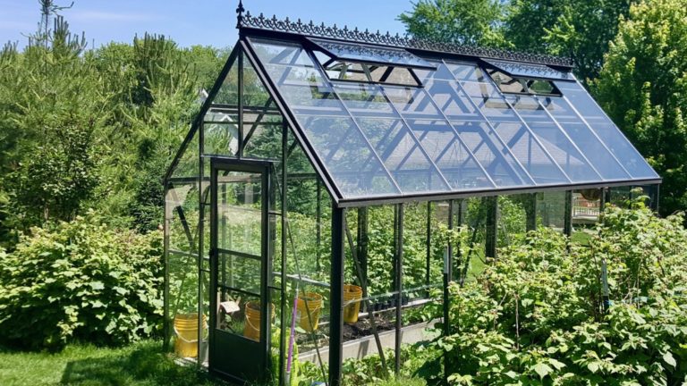 Top 5 Tips for Getting the Most out of Your Greenhouse - The Frisky