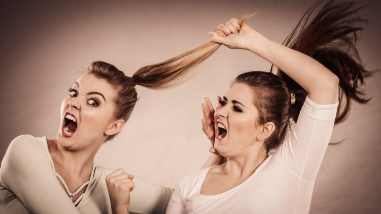 Have You Ever Been In A Girl Fight?