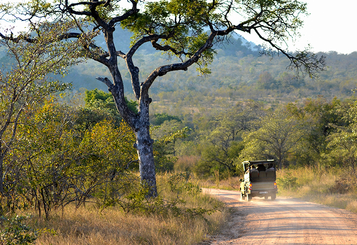 Why You Should Visit South Africa's Kruger National Park In 2024 - The ...