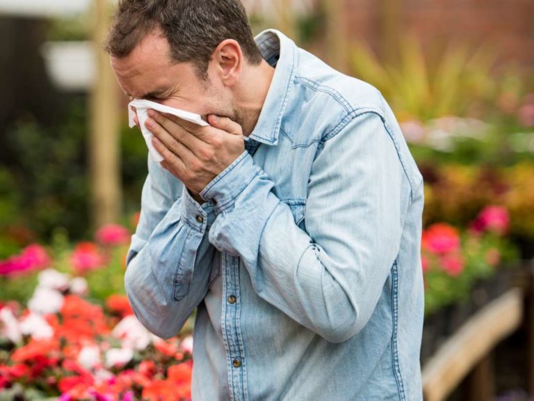 How Long Does It Take for Benadryl to Work? The Frisky