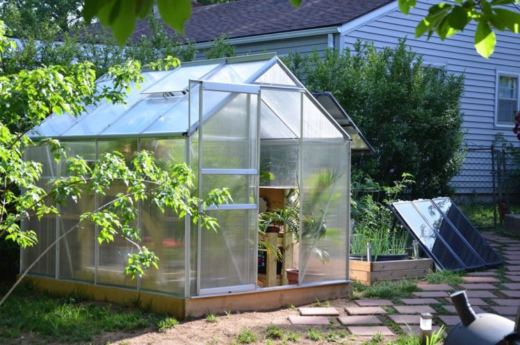 7 Reasons for Having a Greenhouse in Your Backyard - 2024 Guide - The ...