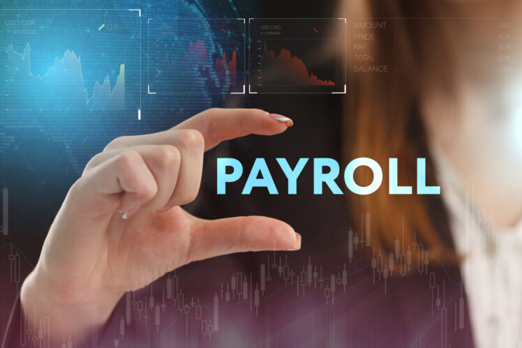 9 Reasons to Use a Payroll Software For Your Business - The Frisky