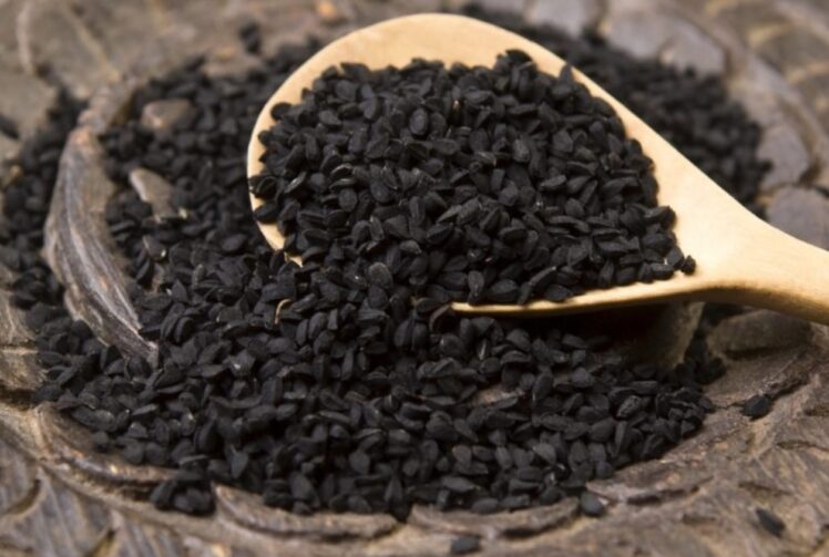 7 Things You Must Know When Selecting the Best Black Seed Oil [New in ...