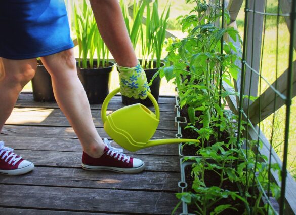 14 Gardening Basics Every Beginner Needs To Know - The Frisky