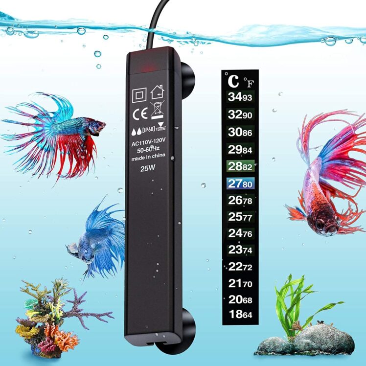 7 Tools You Need To Build Your Own Aquarium 2024 Guide The Frisky
