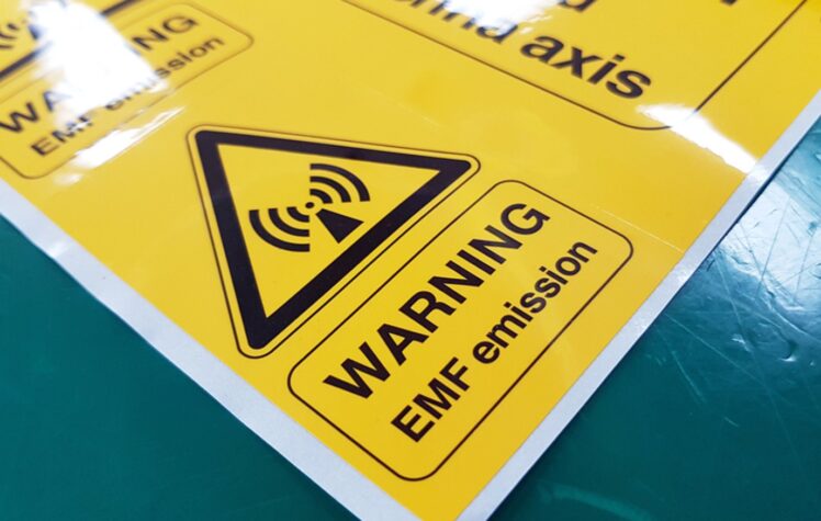 How Pet Owners Can Advocate for Safer Radiation Policies to Protect ... - How To Protect Yourself From Radiation