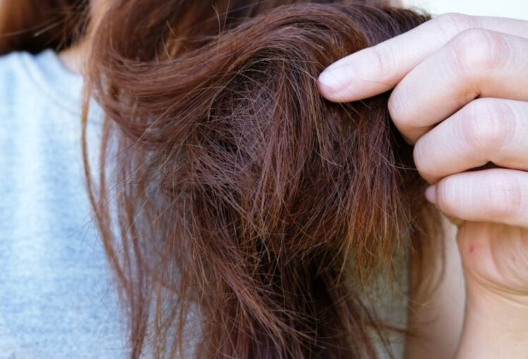 How Often Can Styling Tools Be Used in Middle Age The Frisky