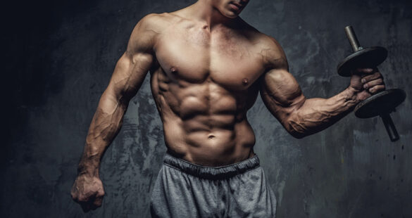 How to Put on Mass and Get Bigger Muscles - 2024 Guide - The Frisky