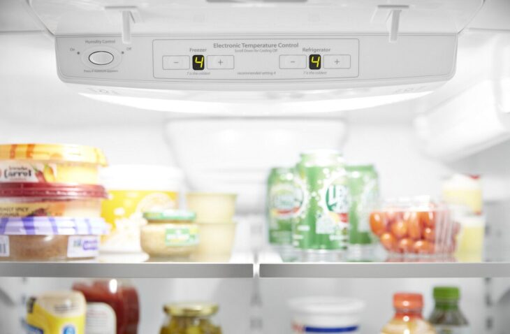 7 Tips to Extend the Life of Your Refrigerator - 2024 Guide - The Frisky