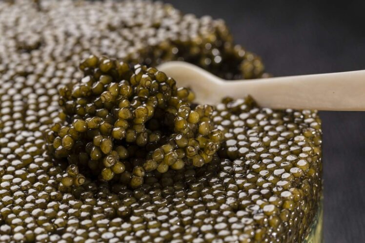 Что означает caviar в жестком диске