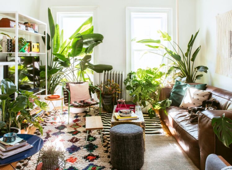 10 Ways to Decorate Your Home With Plants and Greenery - The Frisky