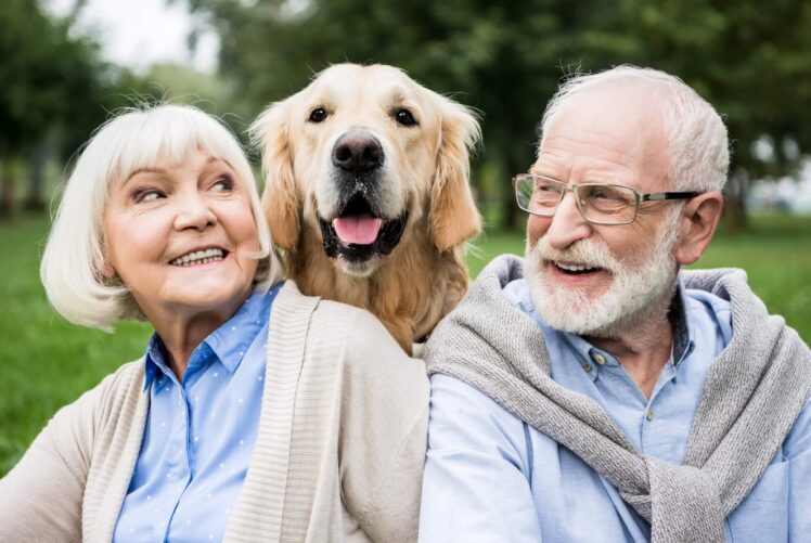 4 Reasons Labrador Retrievers are the Best Dog Breed for Seniors - The ...