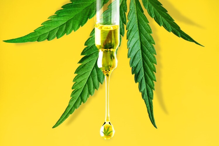 How Can CBD Help to Improve Your Life?