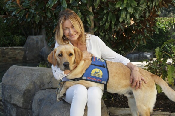 Assistance Dogs: Classifications of Dogs Helping People With ...
