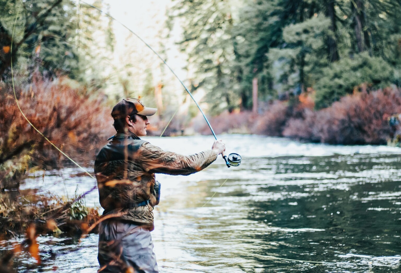 what-are-the-top-7-benefits-of-fishing-as-a-hobby-the-frisky