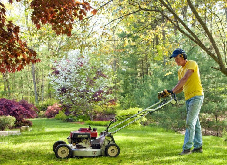 is-it-cheaper-to-pay-someone-to-mow-your-lawn-the-frisky