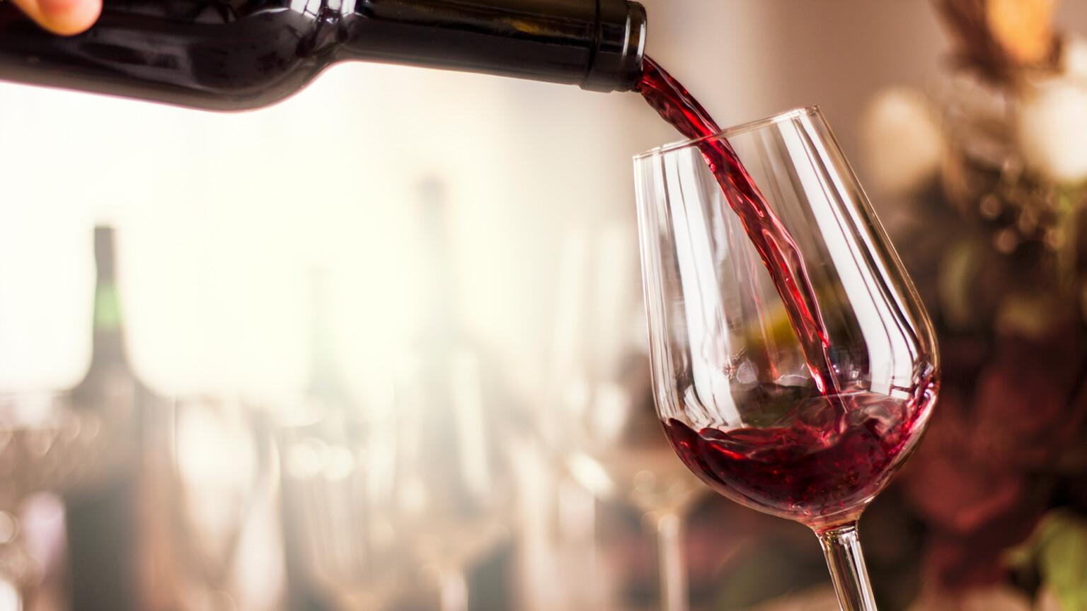 Red Wine Vs White Wine Which Is Better For Your Health? The Frisky