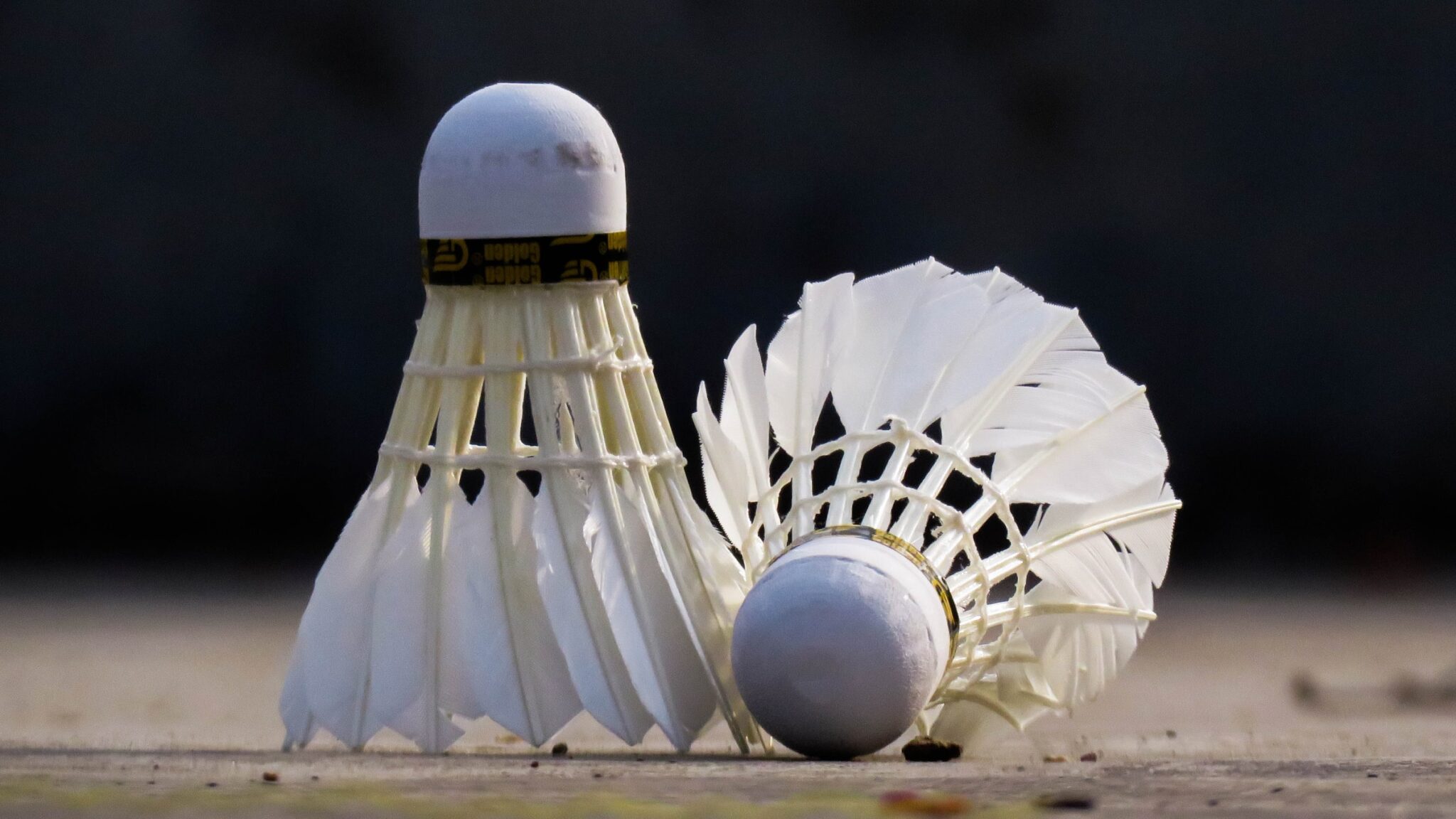 12 Interesting Facts To Know About Badminton Shuttlecocks The Frisky