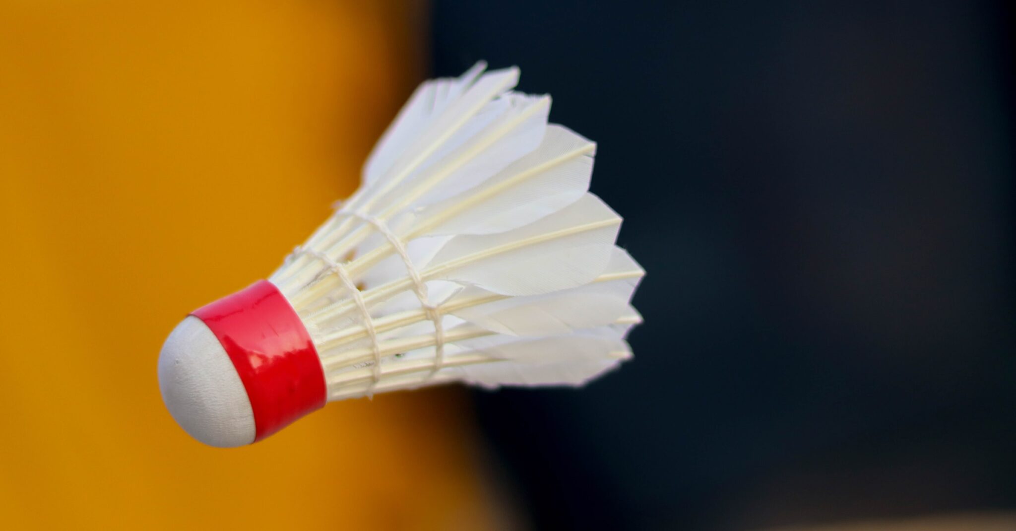12 Interesting Facts To Know About Badminton Shuttlecocks The Frisky