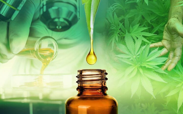 Is There any Difference in CBD Oils? 2021 Guide
