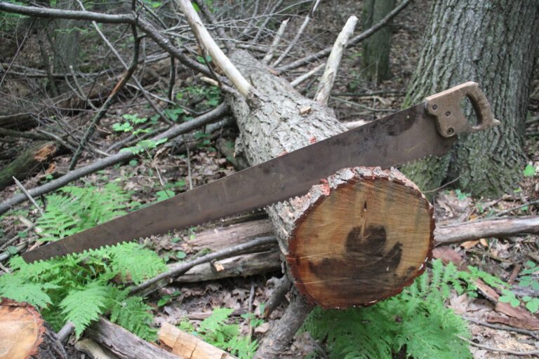 How to Cut Firewood Efficiently Essential Tips For Beginners 2024