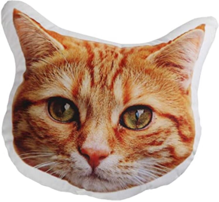 How are The Custom Cat Pillows Advantageous? The Frisky